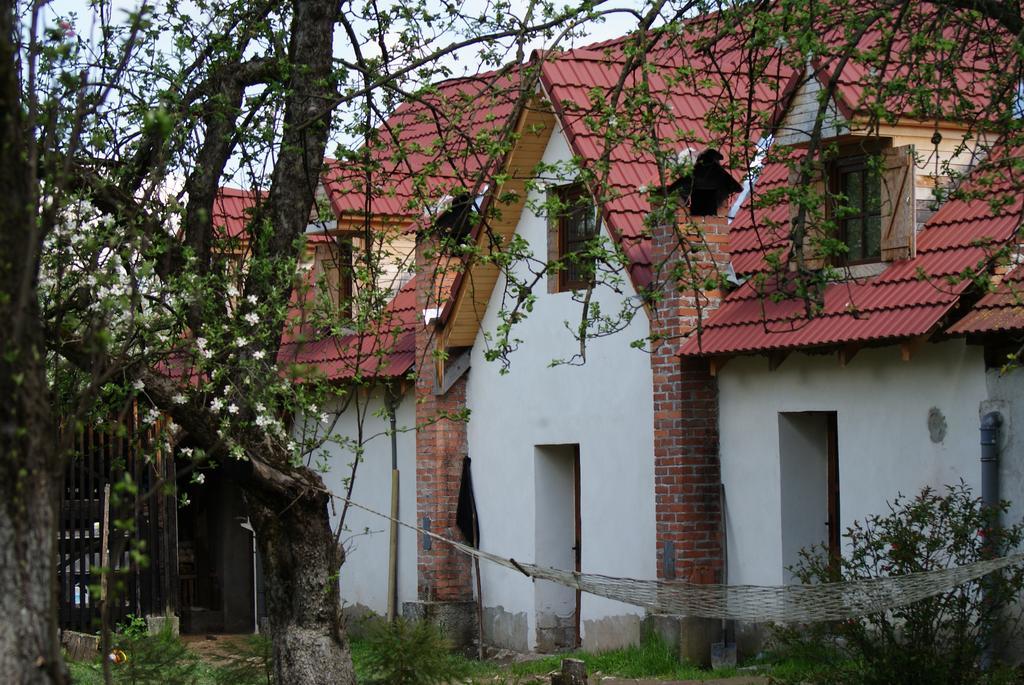 פורומבקו דה סוס Casa Porumbacu 295 מראה חיצוני תמונה
