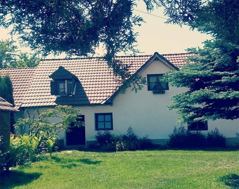 פורומבקו דה סוס Casa Porumbacu 295 מראה חיצוני תמונה